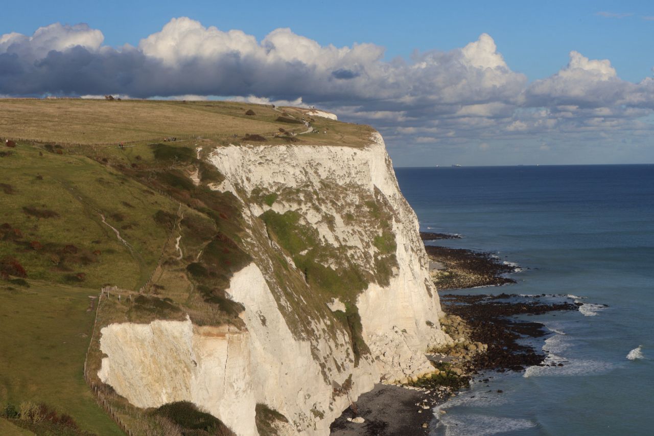 Dover