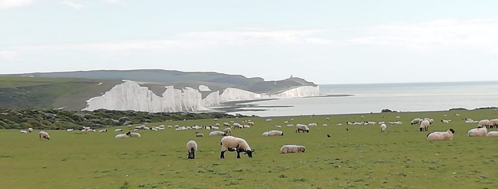 【英國 七姐妹白崖 Seven Sisters Cliffs 】最佳拍照位置、景點、交通|倫敦近郊一日遊 - 第18張圖