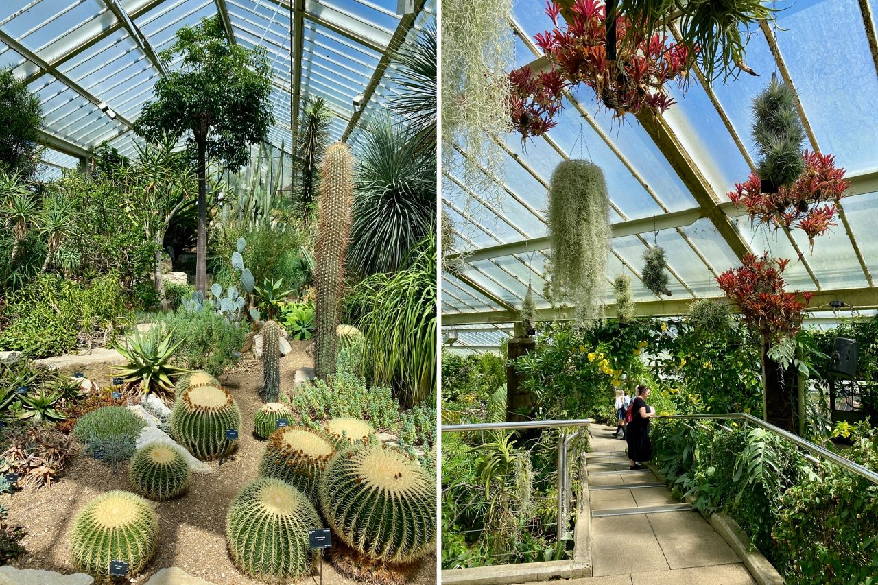 邱園 Kew Gardens 攻略:七大英國皇家植物園必看溫室與景點 - 第13張圖 Kew Gardens