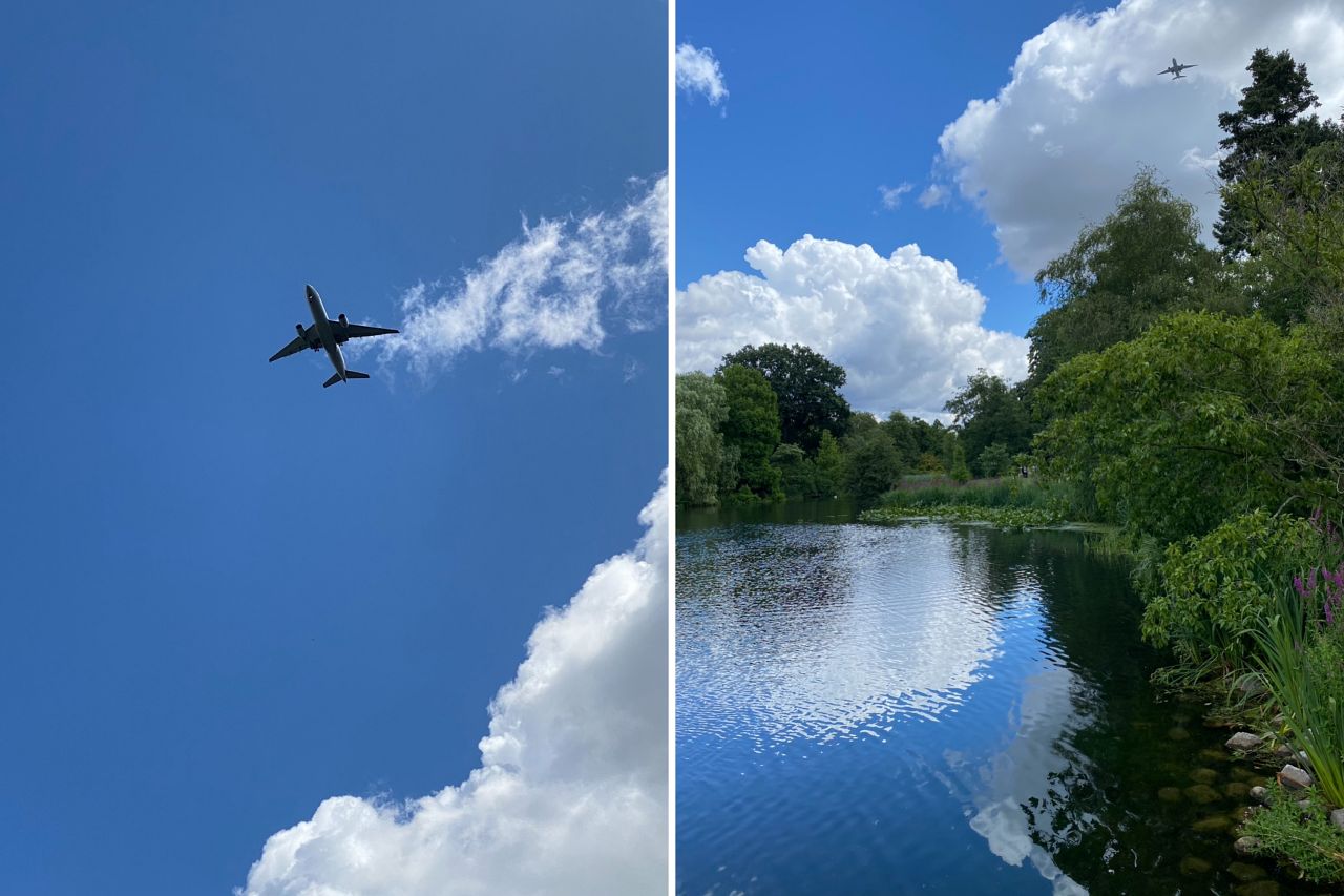 邱園 Kew Gardens 攻略:七大英國皇家植物園必看溫室與景點 - 第23張圖 Kew Gardens