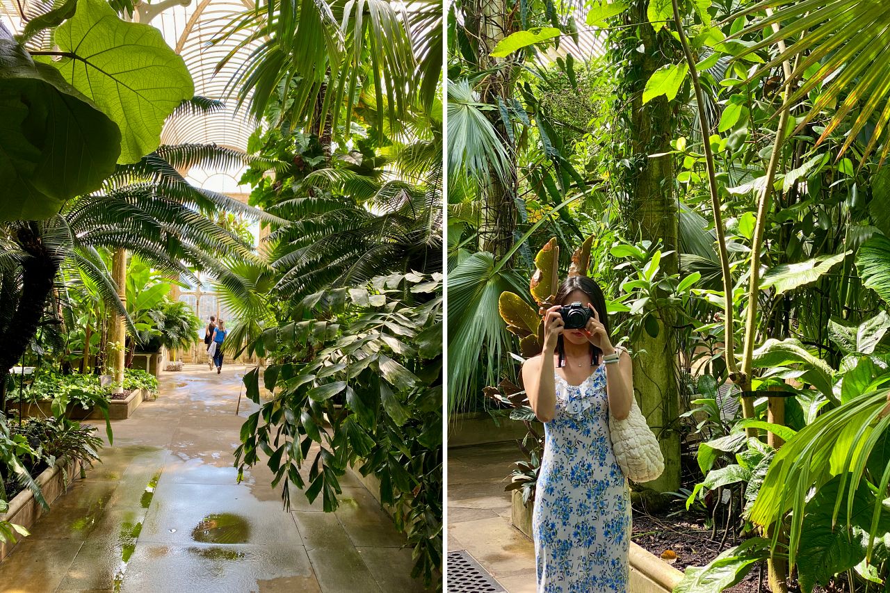 邱園 Kew Gardens 攻略:七大英國皇家植物園必看溫室與景點 - 第5張圖 Kew Gardens