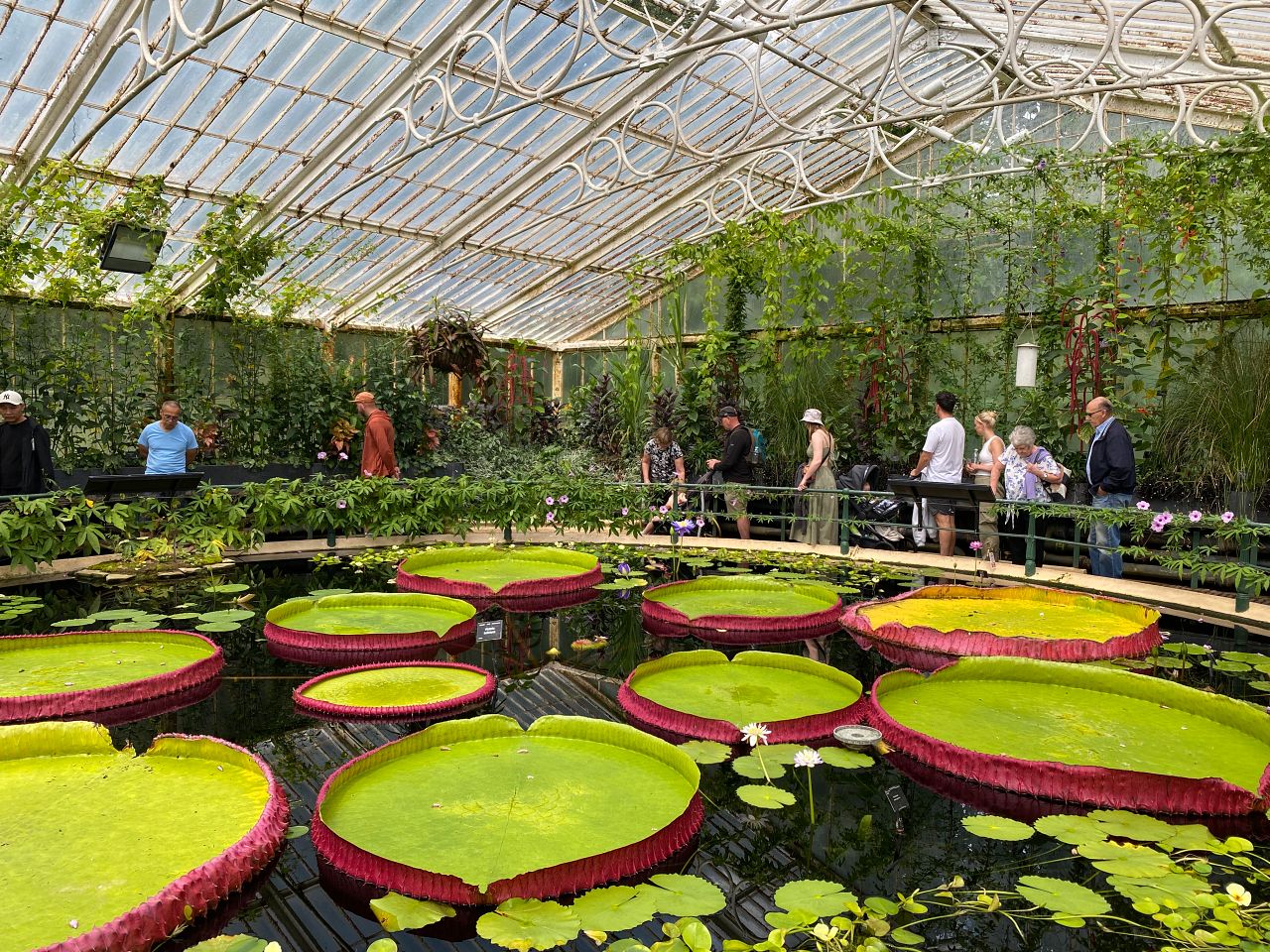 Kew Gardens