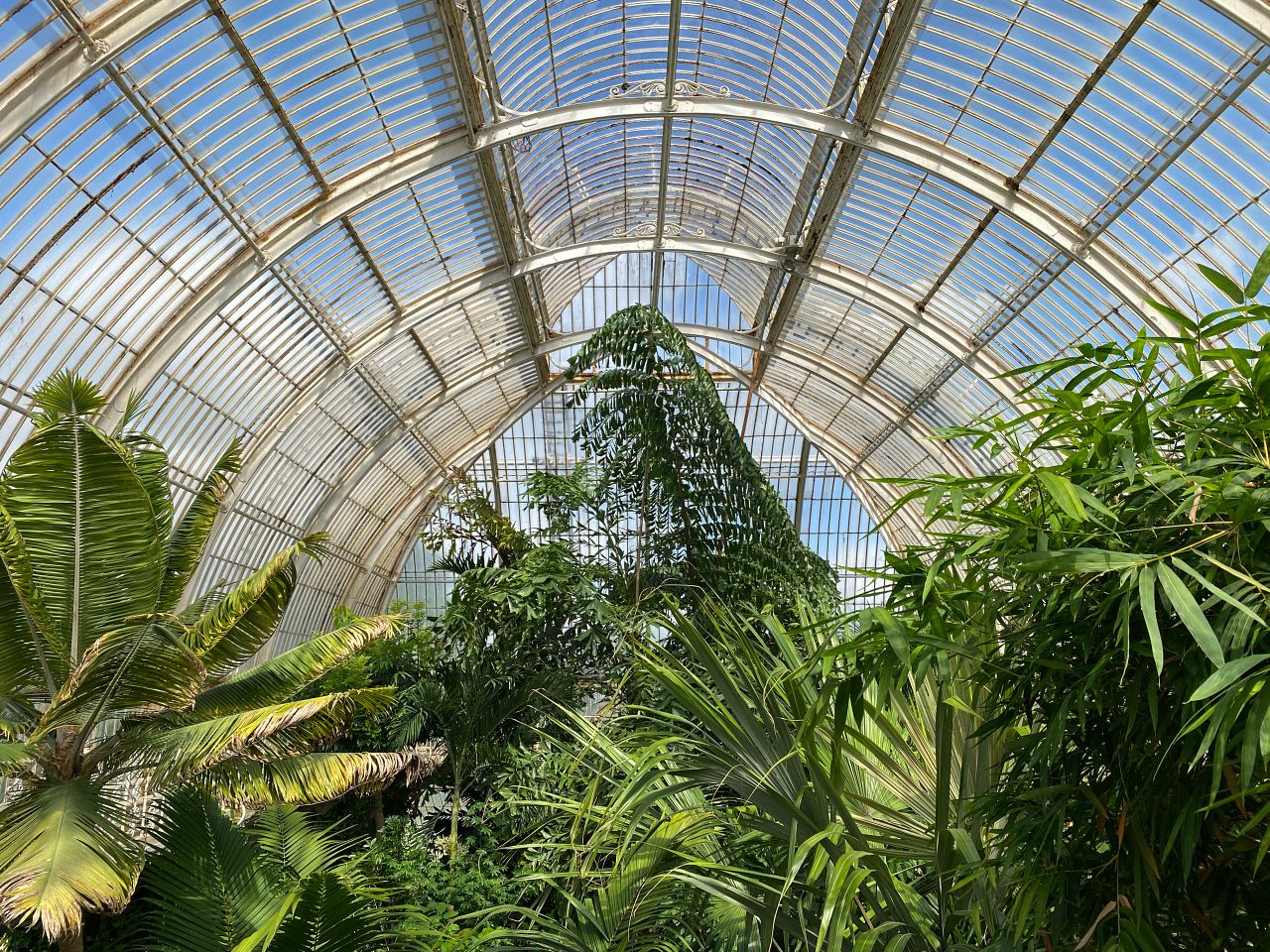 邱園 Kew Gardens 攻略:七大英國皇家植物園必看溫室與景點 - 第7張圖