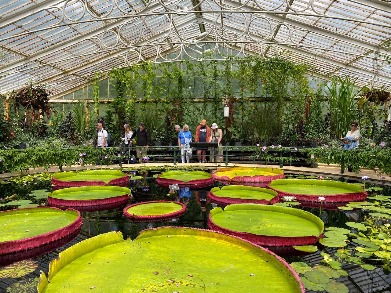 邱園 Kew Gardens 攻略:七大英國皇家植物園必看溫室與景點 - 第9張圖
