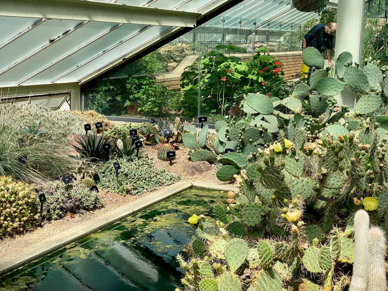 邱園 Kew Gardens 攻略:七大英國皇家植物園必看溫室與景點 - 第12張圖