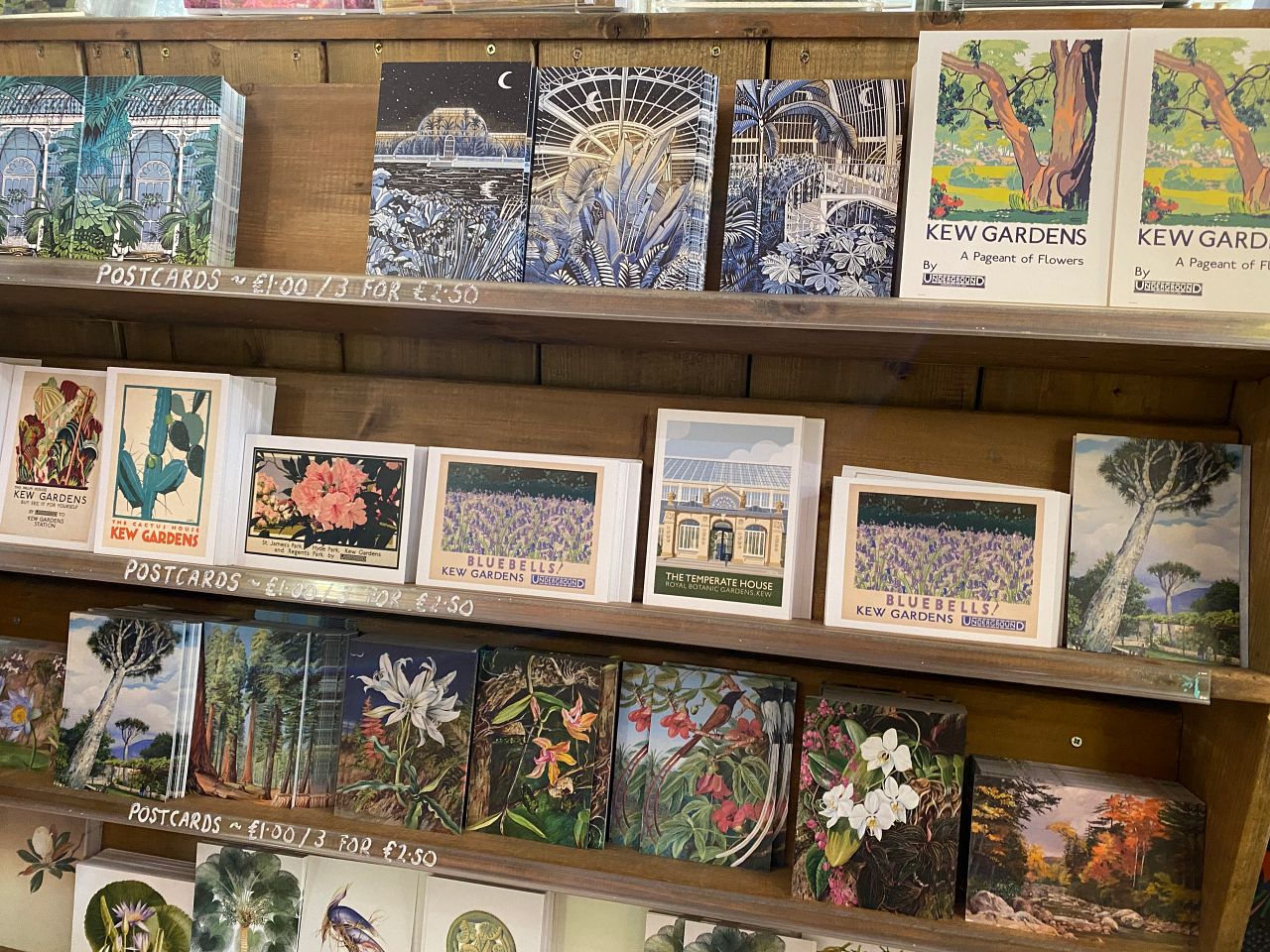 邱園 Kew Gardens 攻略:七大英國皇家植物園必看溫室與景點 - 第26張圖