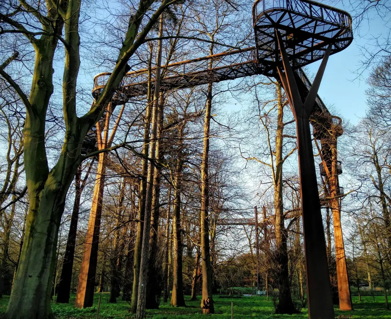 邱園 Kew Gardens 攻略:七大英國皇家植物園必看溫室與景點 - 第19張圖
