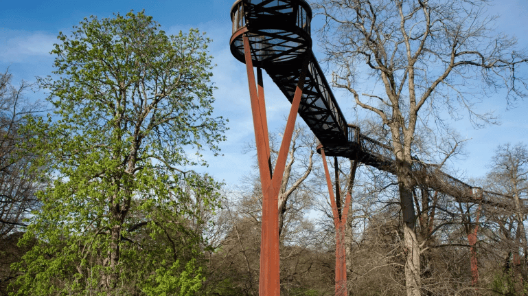 邱園 Kew Gardens 攻略:七大英國皇家植物園必看溫室與景點 - 第18張圖