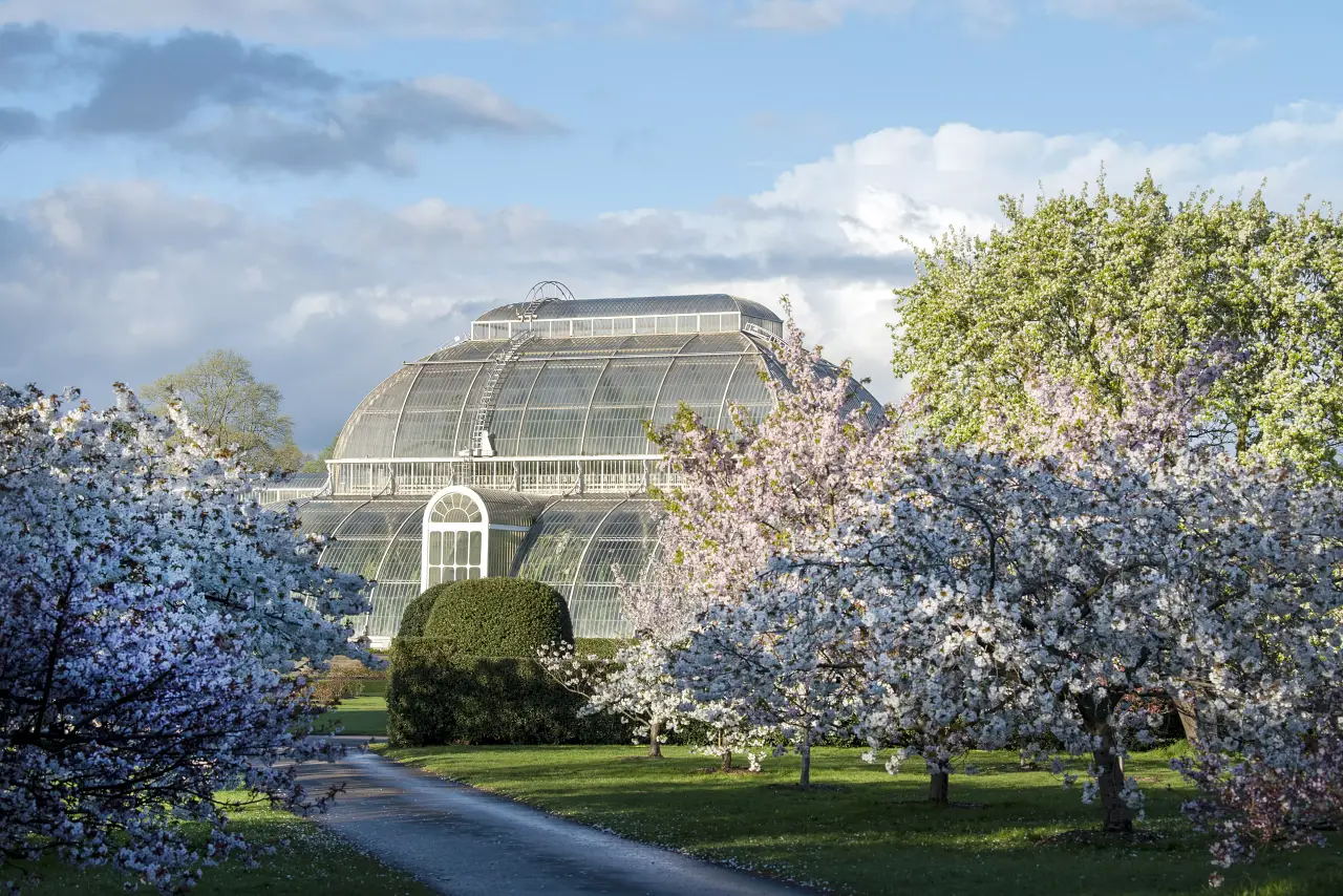 邱園 Kew Gardens 攻略:七大英國皇家植物園必看溫室與景點 - 第4張圖