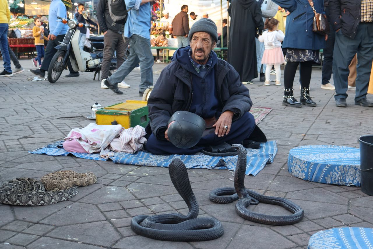 馬拉喀什旅遊攻略 Marrakech|8 個必去景點懶人包、行程、注意事項 - 第4張圖
