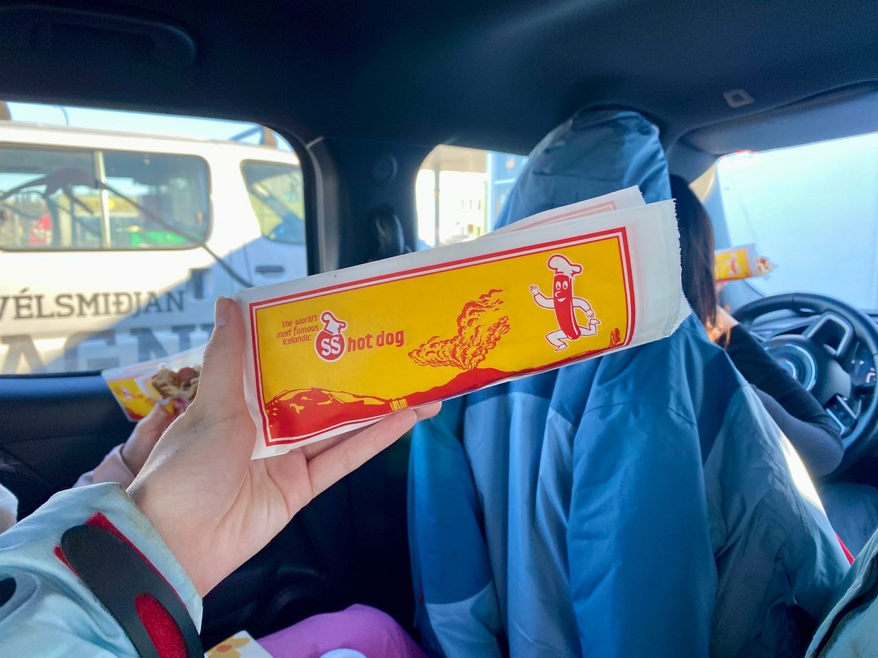 冰島美食攻略|雷克雅維克必吃熱狗、特色餐廳、早午餐、肉桂捲 - 第2張圖 Icelandfood