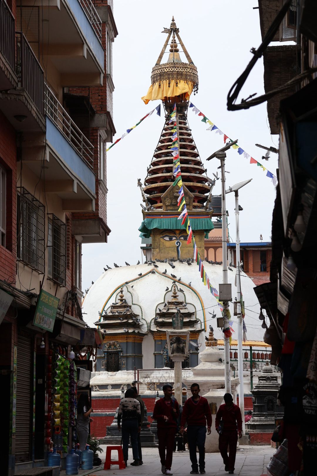 尼泊爾塔美爾 Thamel 逛街攻略|9 間必逛小店推薦,伴手禮、手工藝、茶葉通通有! - 第1張圖 Nepalimg 9881