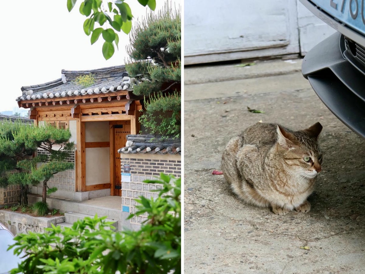 【韓國首爾】北村韓屋村攻略|北村八景、交通、開放時間、周圍美食推薦 - 第23張圖 Bukchonhanokphoto output 3