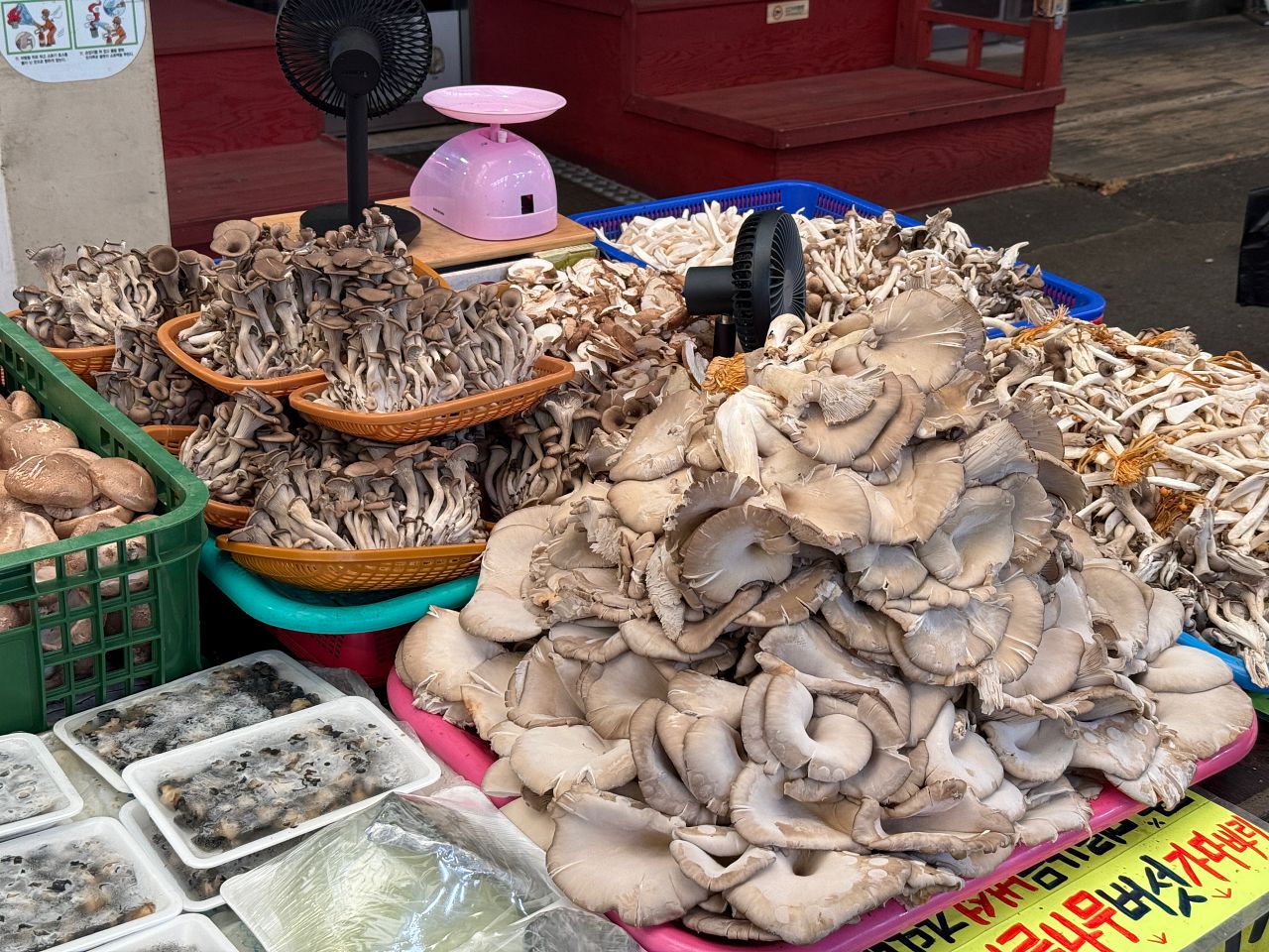 Yukgeorimarketimg 5846