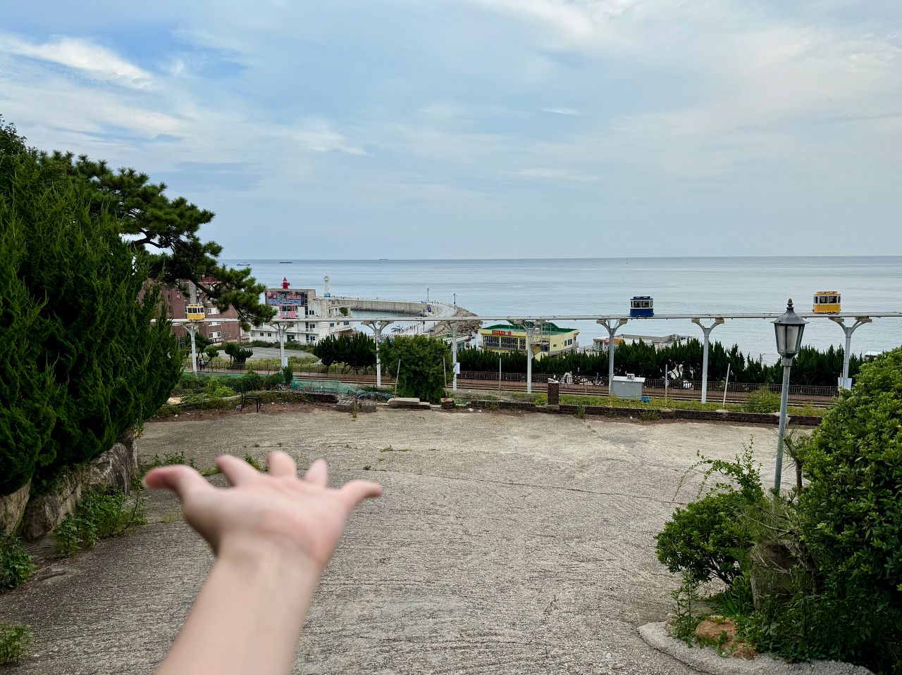 Cheongsapoimg 7247