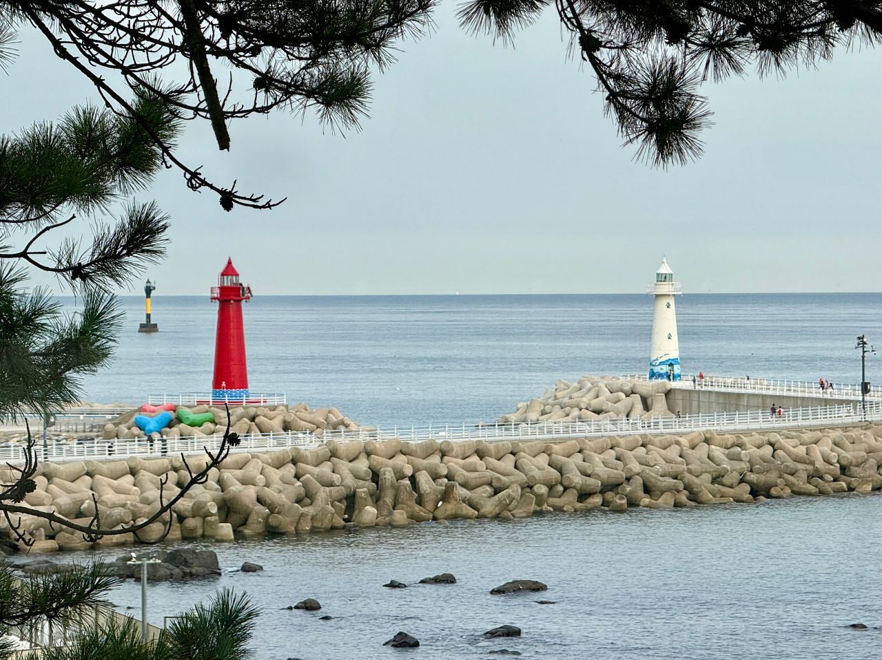 Cheongsapoimg 7319