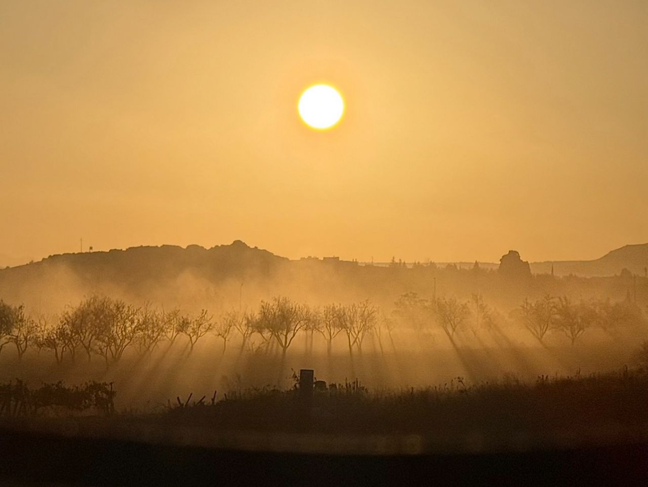 卡帕多奇亞熱氣球完整攻略｜季節、預訂方式、注意事項、心得與追熱氣球景點