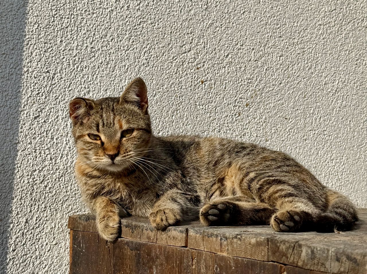 土耳其番紅花城 Safranbolu 旅遊攻略｜交通、鄂圖曼建築、必去景點、老城散步心得與體驗