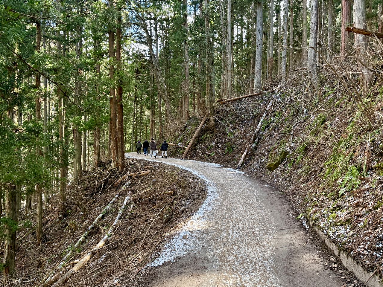 地獄谷野猿公苑｜長野雪猴攻略、門票、交通、幾月去最好