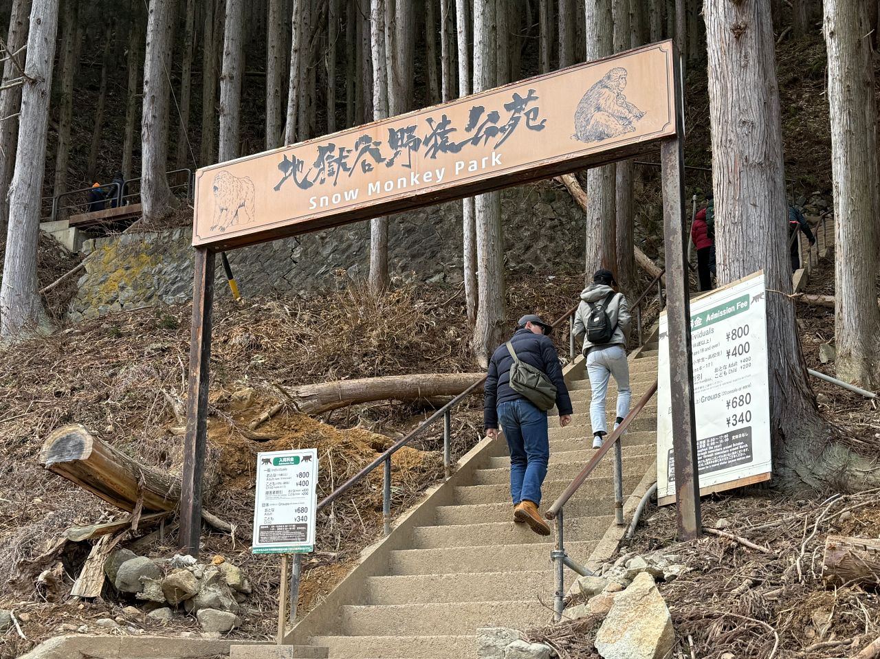 地獄谷野猿公苑｜長野雪猴攻略、門票、交通、幾月去最好