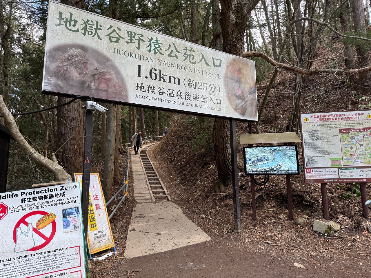 地獄谷野猿公苑｜長野雪猴攻略、門票、交通、幾月去最好