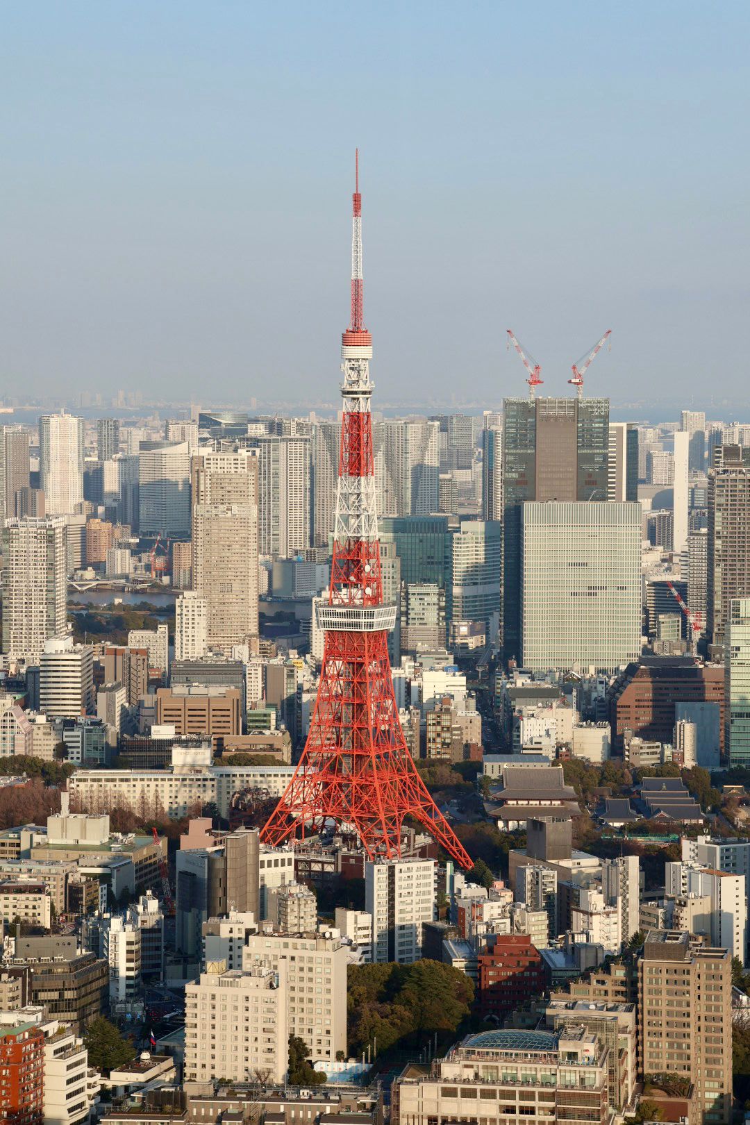 從六本木展望台正面近距離平視東京鐵塔