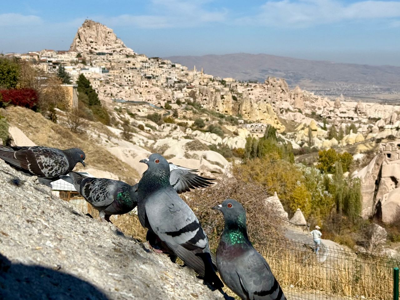 鴿子谷 Pigeon Valley|卡帕多奇亞必去景點,邪眼樹、鴿子洞與烏奇薩爾城堡大景 - 第1張圖 卡帕多奇亞鴿子谷觀景台俯瞰岩壁鴿子洞全景