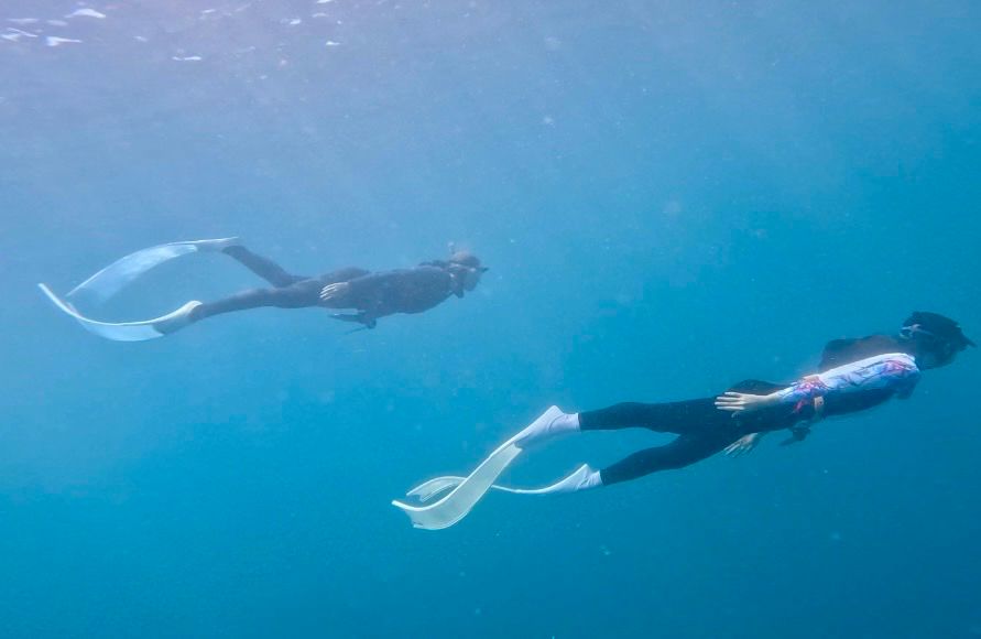 自由潛水課程推薦|恆春貓魚小姐 AIDA2 心得:平壓、憋氣與第一次沒過 - 第29張圖 與同學一同下潛的畫面