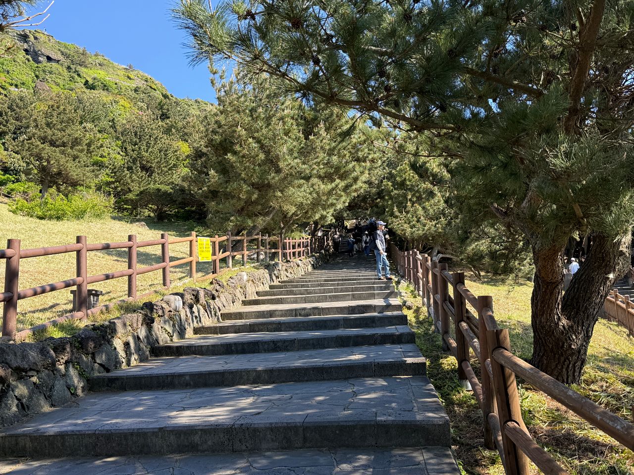 城山日出峰登山步道整修過的上坡階梯