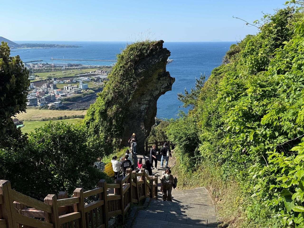城山日出峰步道旁垂直豎立的火山岩石柱